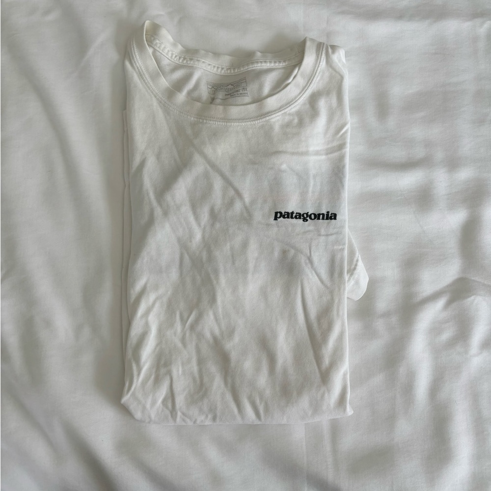 Patagonia shirt.